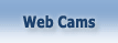 Web Cams