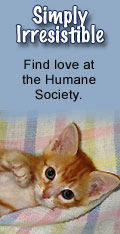 Pet of the Week