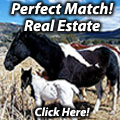 LD Homes Real Estate
