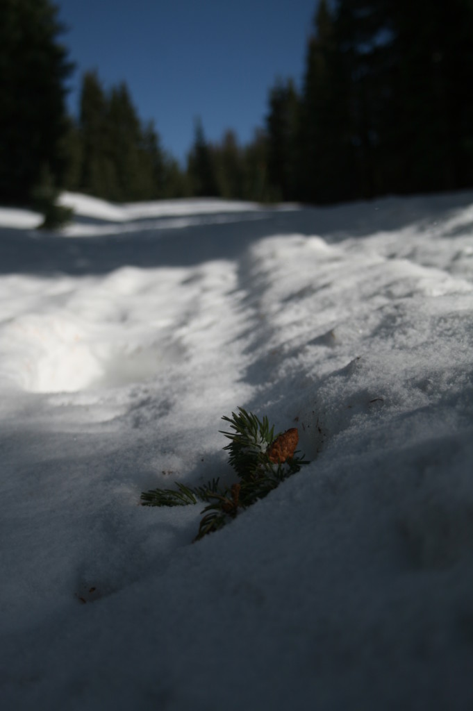 pagosa springs snowshoeing