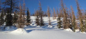 Christmas in Pagosa - 4