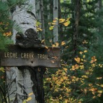 Leche Creek Trail - Small