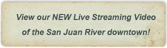 streamingvideobut pagosa springs videos