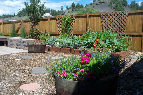 pagosa springs flowers