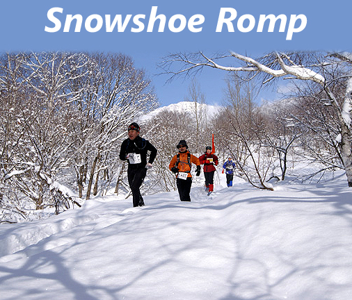 snow-shoe-copy