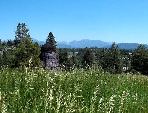 The History of Tall Grasses in Pagosa Country