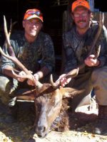 pagosa springs elk hunting